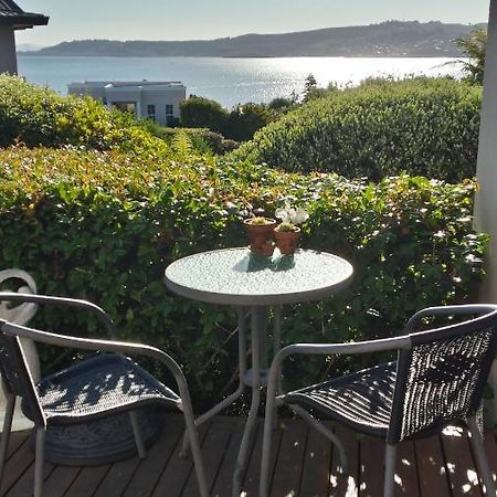 Charlies@Hilltop Deluxe Retreat Bed and Breakfast Lago Lago Taupo Exterior foto